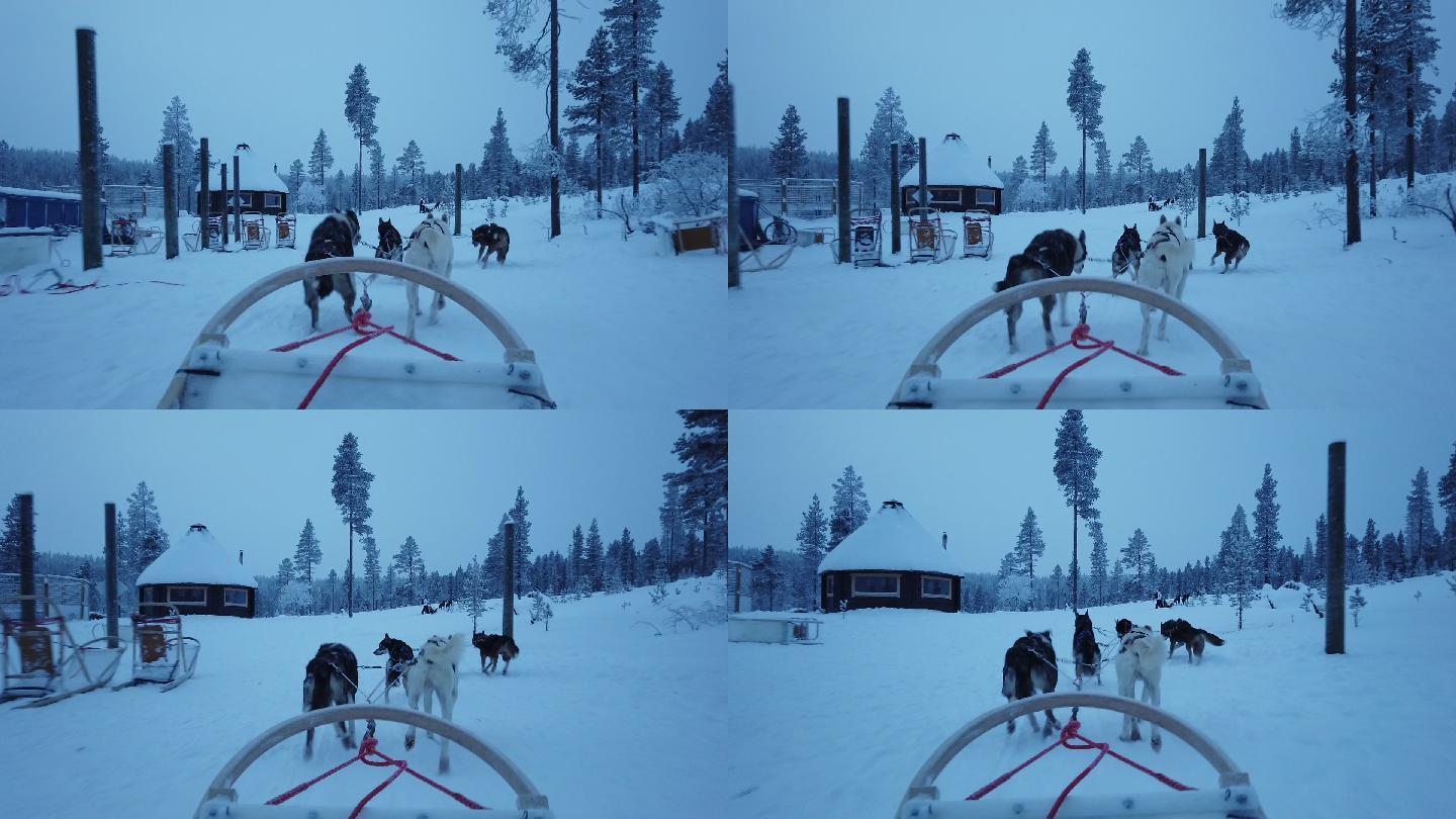 从第一人称的角度看芬兰冬季的狗拉雪橇