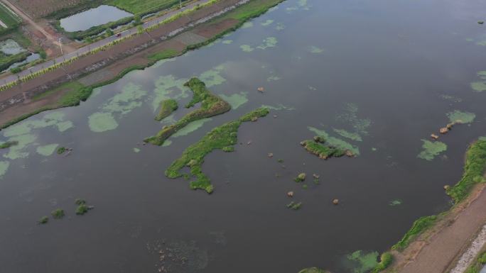 王尽美故居 航拍 河流