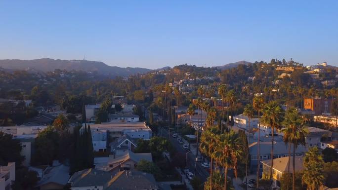 美丽的洛杉矶区，路边长着长长的棕榈树。