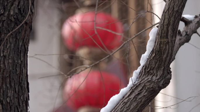 立春南京老门东街巷雪景