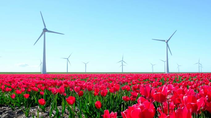 风力涡轮机节能环保唯美风景清洁能源