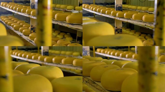 奶酪工厂储存了大量的奶酪。