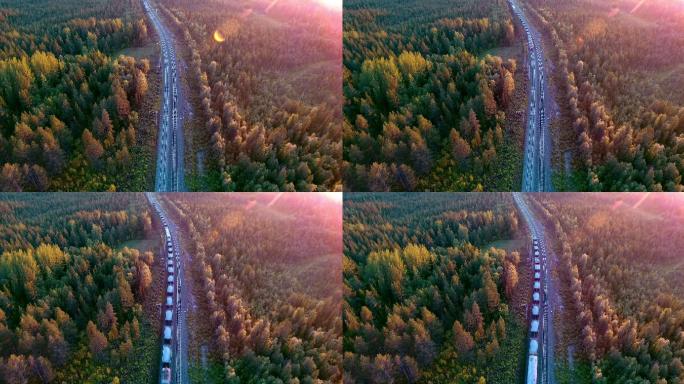 鸟瞰图：火车穿过森林