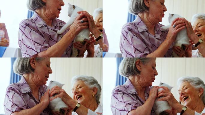 老年妇女与小猫玩耍