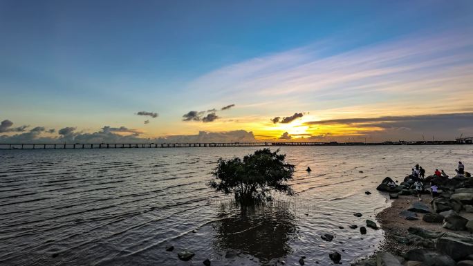 深圳宝安西湾红树林湿地公园 素材