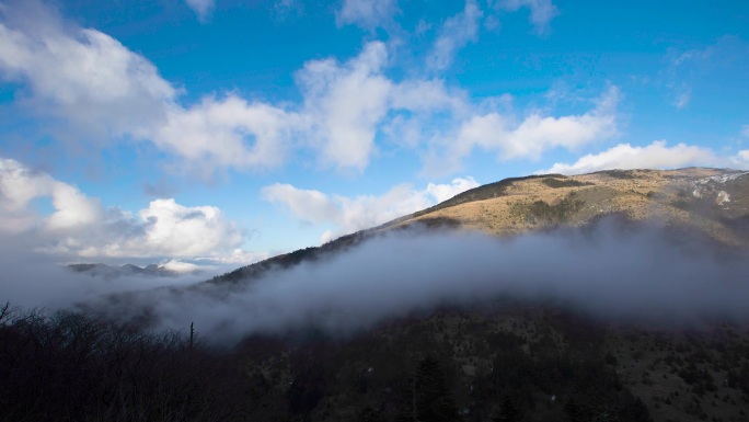 神龙架原始森林雪山净土延时