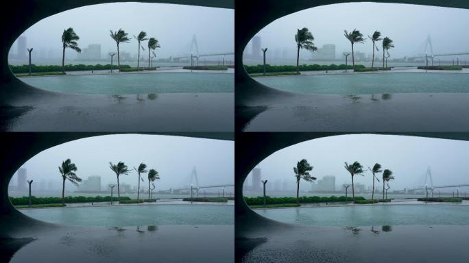 海口市雨景