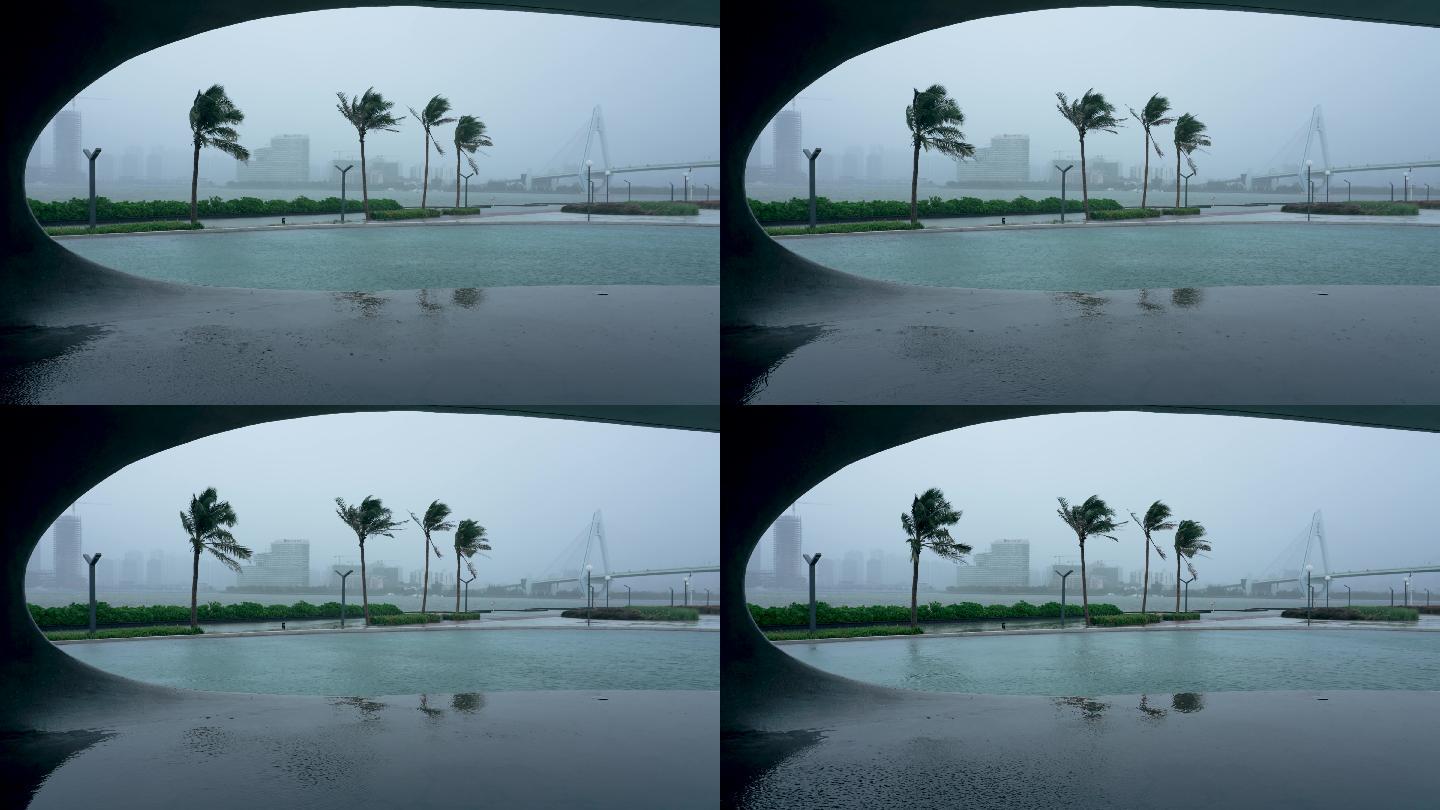 海口市雨景