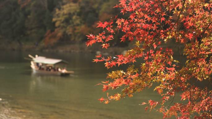水面上的船只秋季秋色江南水乡秋景深秋