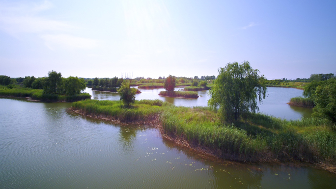 【原创】湿地公园生态湿地湿地美景