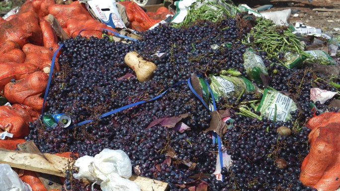 垃圾填埋场倾倒的水果和蔬菜
