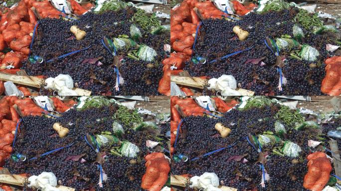 垃圾填埋场倾倒的水果和蔬菜