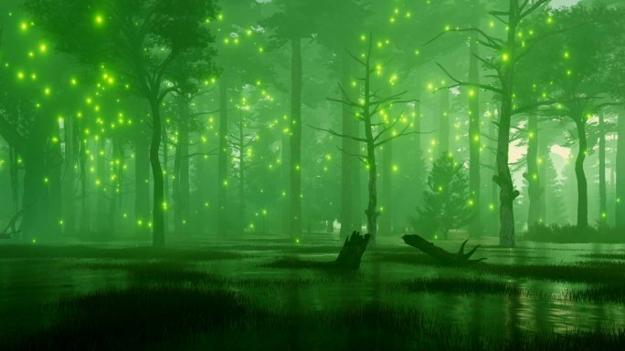 神秘萤火虫的沼泽森林