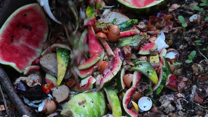蔬菜和水果废物，回收厨房和庭院垃圾