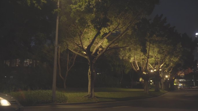 4K广州二沙岛珠江边马路汽车及路灯夜景