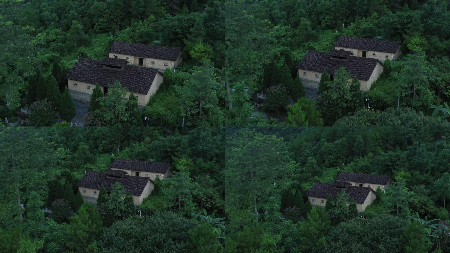 韦拔群故居森林绿树环绕房屋航拍4k