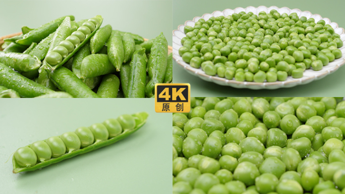 【4K】甜豆豌豆荷兰豆