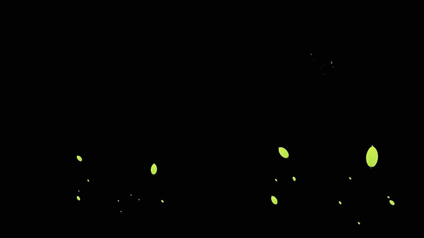 绿叶点缀装饰视频