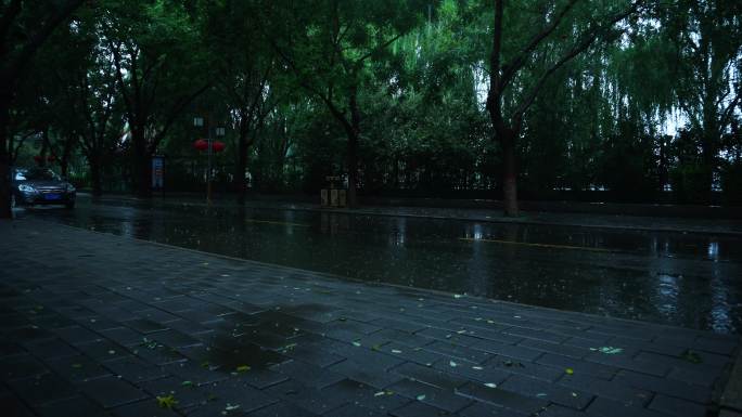 【原创实拍】雨天马路过往的车辆