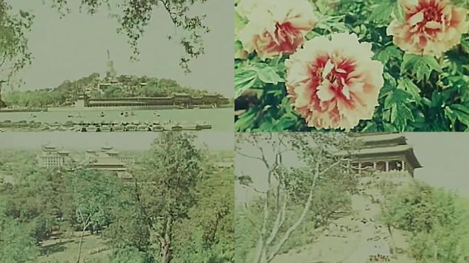 1955北京故宫景山公园