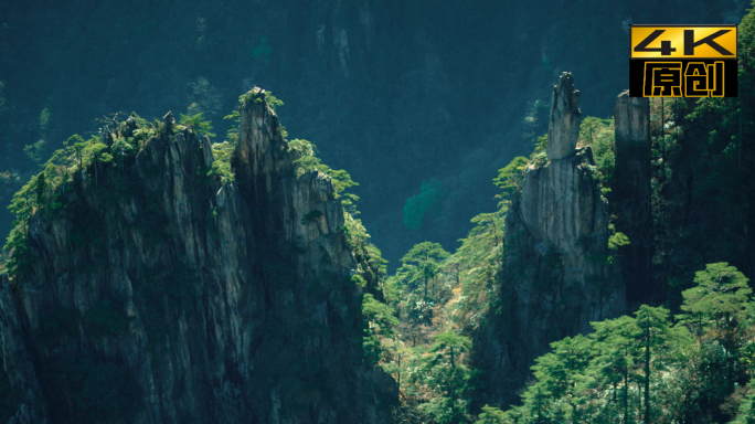 黄山、山景、植物、自然风光、五岳