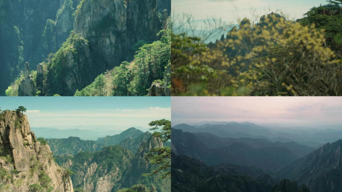 黄山、迎客松、山景、自然风景、大山