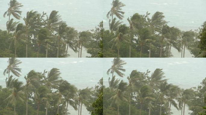 自然灾害飓风期间的海滨景观。