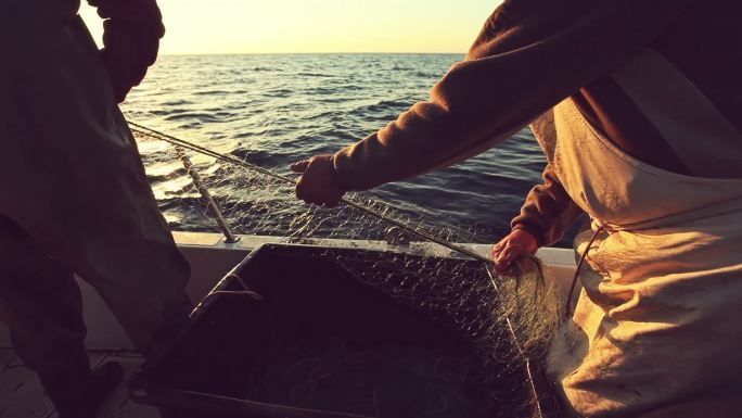 渔夫们收网捕鱼