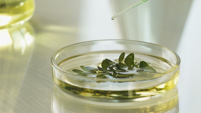 科学家在植物混合物中加入试剂