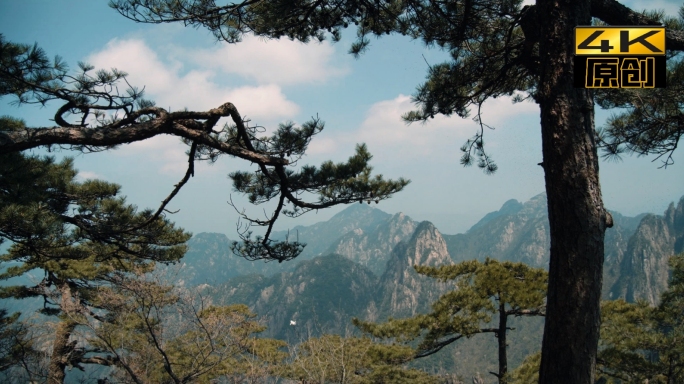 黄山、迎客松、山景、黄山之约、山顶