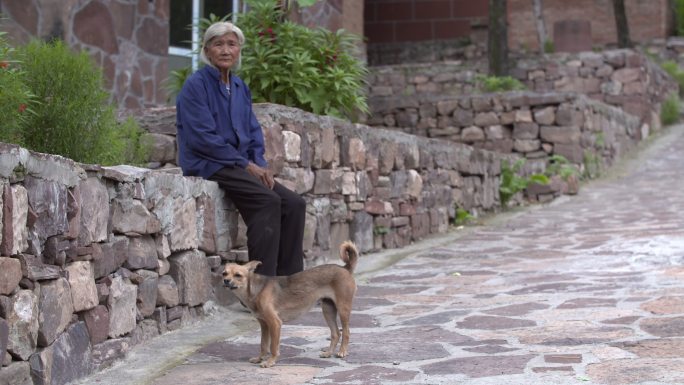 太行山大山里孤独老人和狗坐在街道4k
