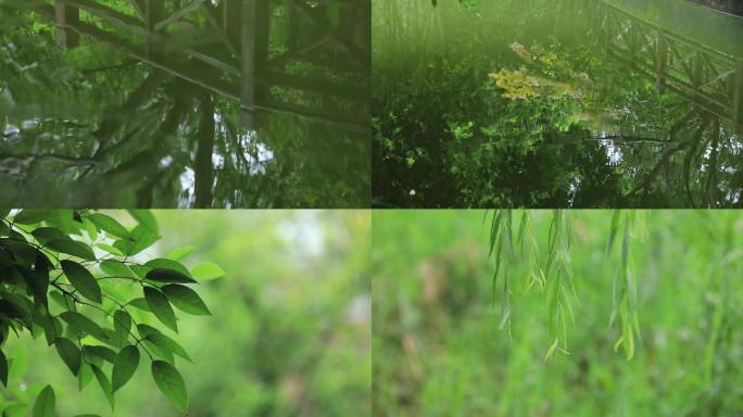 清新 唯美 夏日 水滴 倒影 空镜头