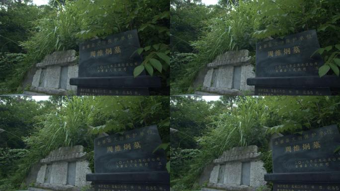 安徽金寨革命烈士周维炯墓地