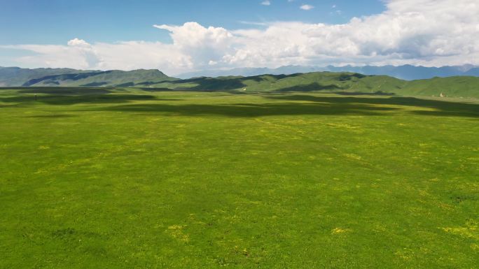 中国新疆伊犁那拉提草原自然风景