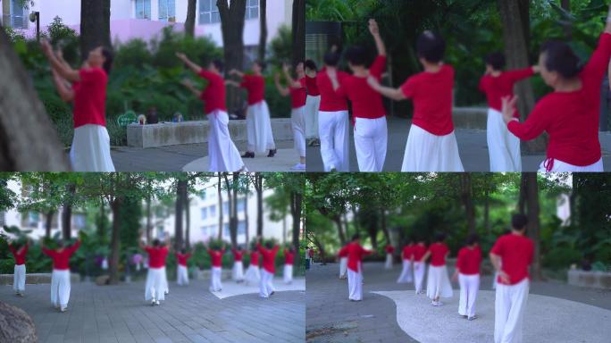 老年人公园晨练团体跳舞