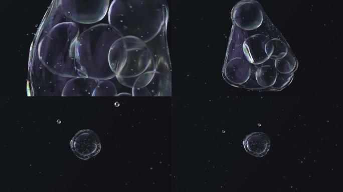 原创/细胞融合/细胞球/透明水泡-2