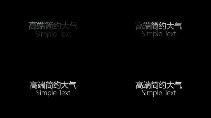 简约大气字幕标题