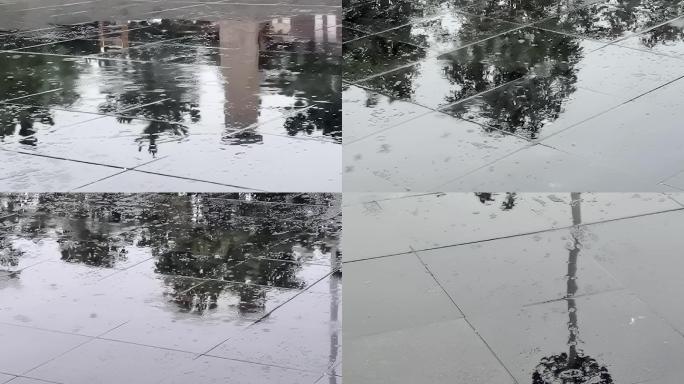 雨中即景一