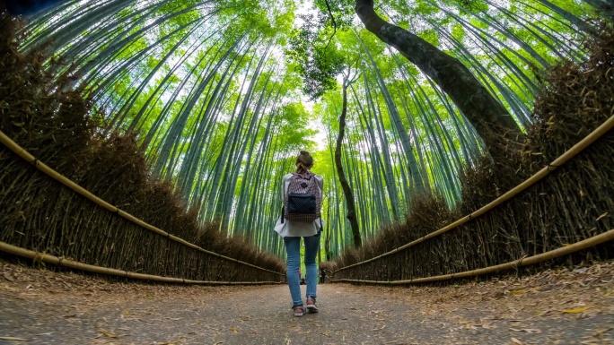 京都的荒山竹林