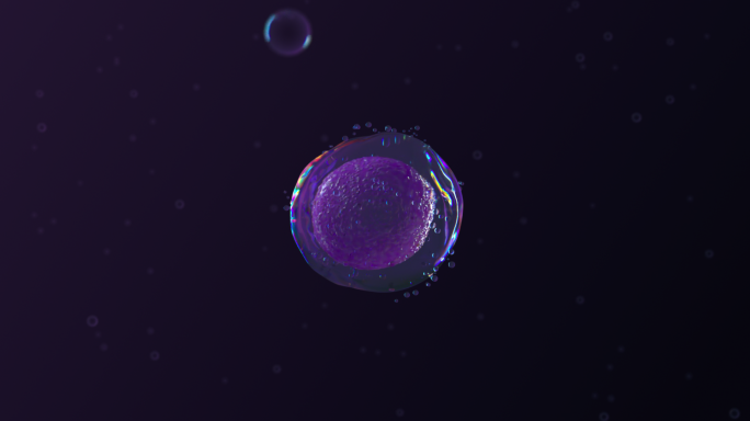原创/细胞融合/细胞球-1