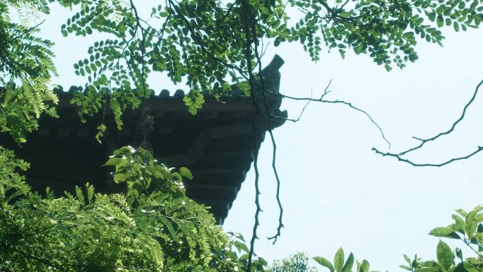 山间 瀑布 天空 寺庙 吊脚楼 树 枝条