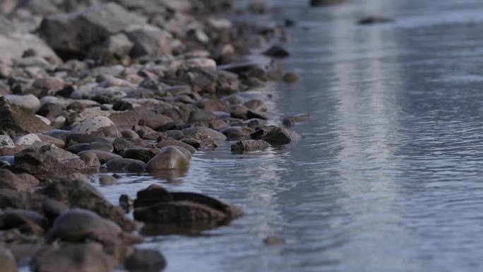 小河流水河边水浪拍打石头意向性镜头F