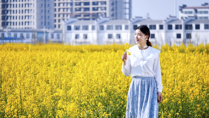 【原创】油菜花