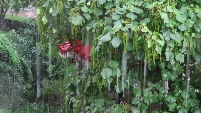 大雨如注