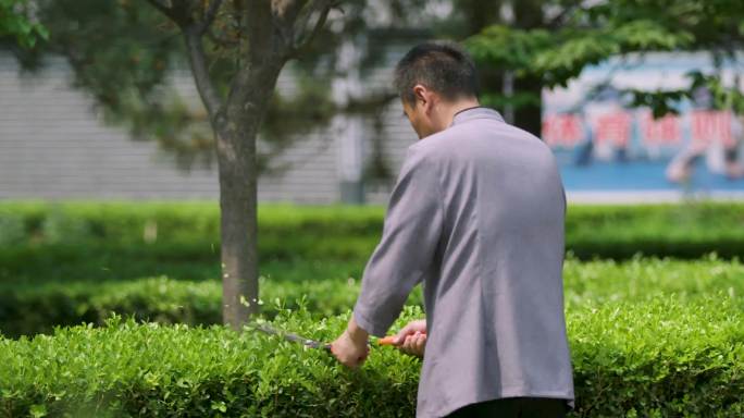 物业保洁扫地修剪绿化带