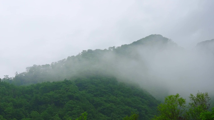 山中云雾