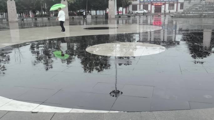 雨中即景二