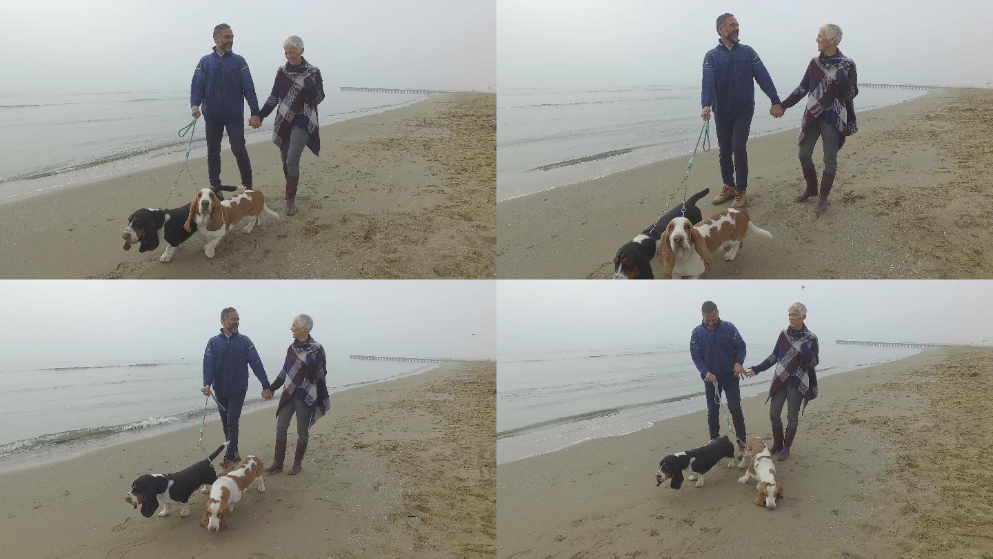老年夫妇牵着两只宠物狗在海边散步