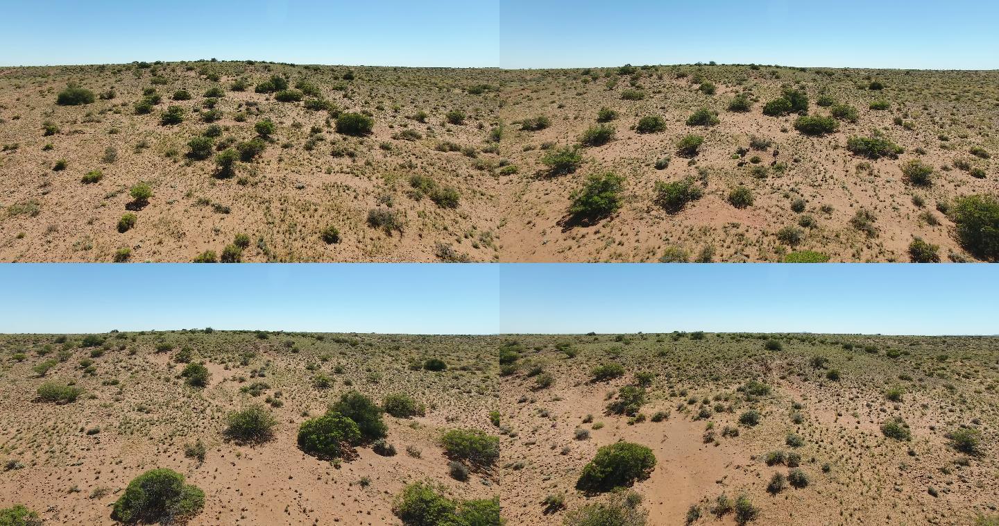 澳大利亚的沙漠荒野