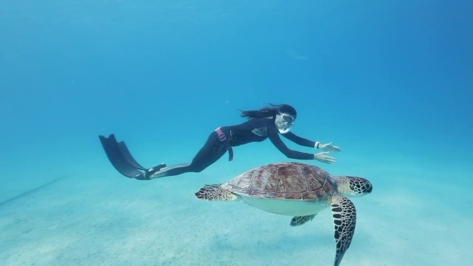 潜水员在水域潜水生物仿生学蓝色大海沿海旅